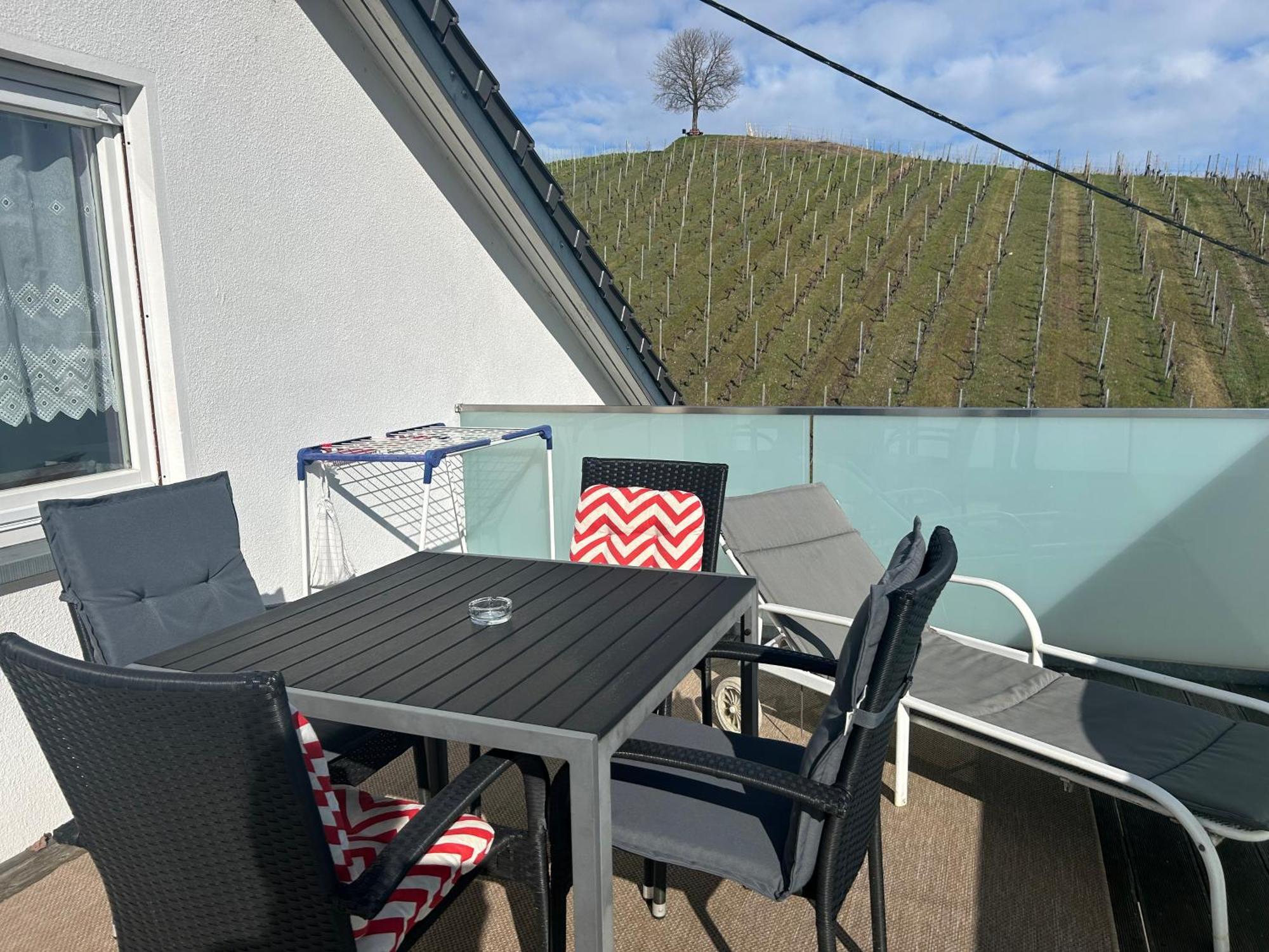 Gaestehaus Sommertal Mit Pool Im Garten, Eigener Parkplatz, 800M Zum Bodensee, 300M Zur Altstadt เมียร์สบวร์ก ภายนอก รูปภาพ