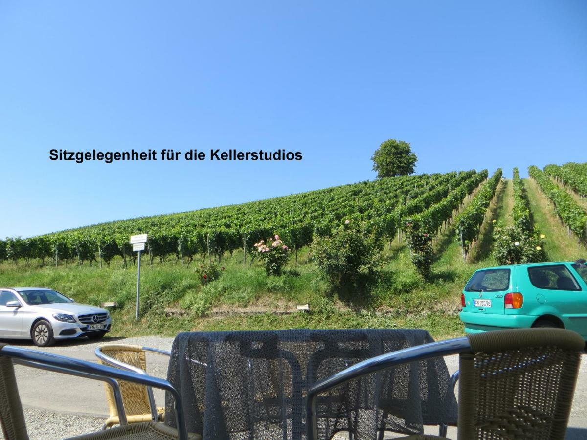 Gaestehaus Sommertal Mit Pool Im Garten, Eigener Parkplatz, 800M Zum Bodensee, 300M Zur Altstadt เมียร์สบวร์ก ภายนอก รูปภาพ